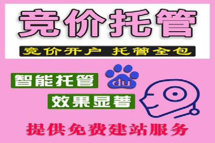 百度竞价推广公司成功案例揭秘：广告投放的五大误区与对策